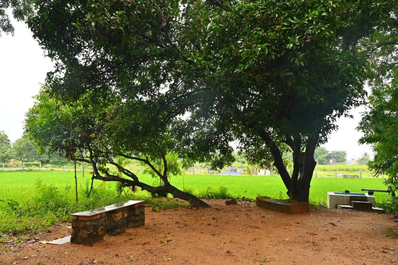 Pathayam Inn Tiruvannāmalai Exterior foto