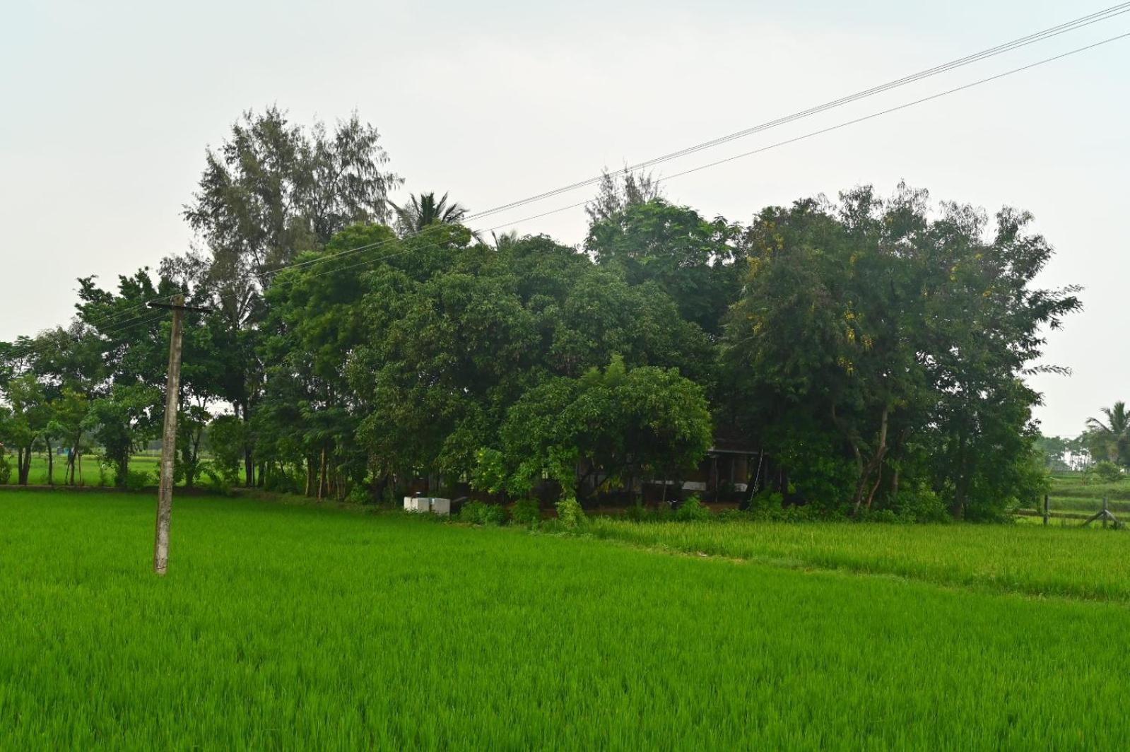 Pathayam Inn Tiruvannāmalai Exterior foto